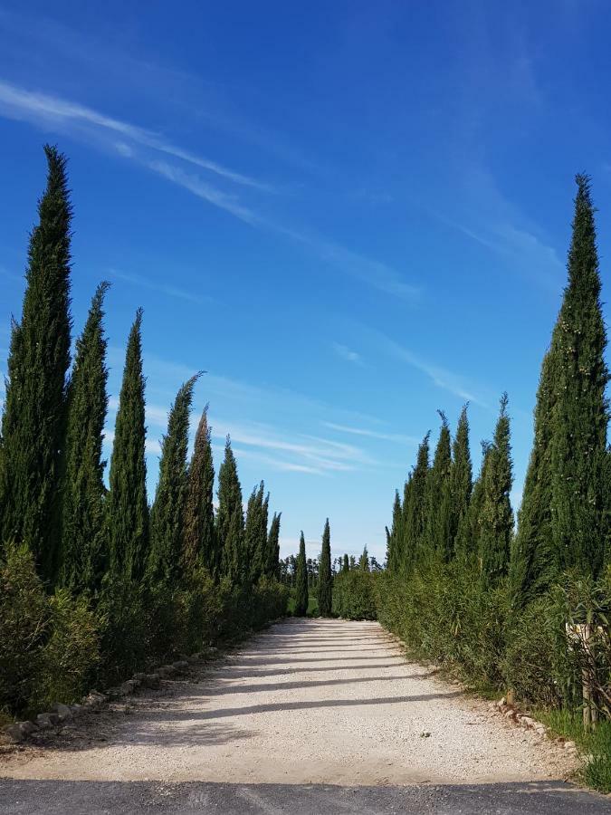 Le Mas De Guiguite Mézoargues Dış mekan fotoğraf