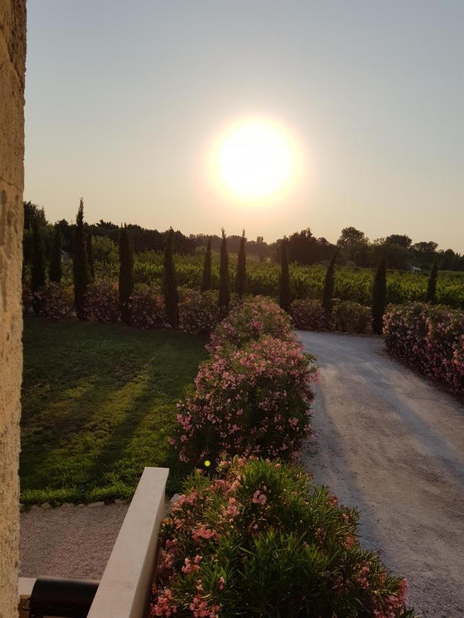 Le Mas De Guiguite Mézoargues Dış mekan fotoğraf