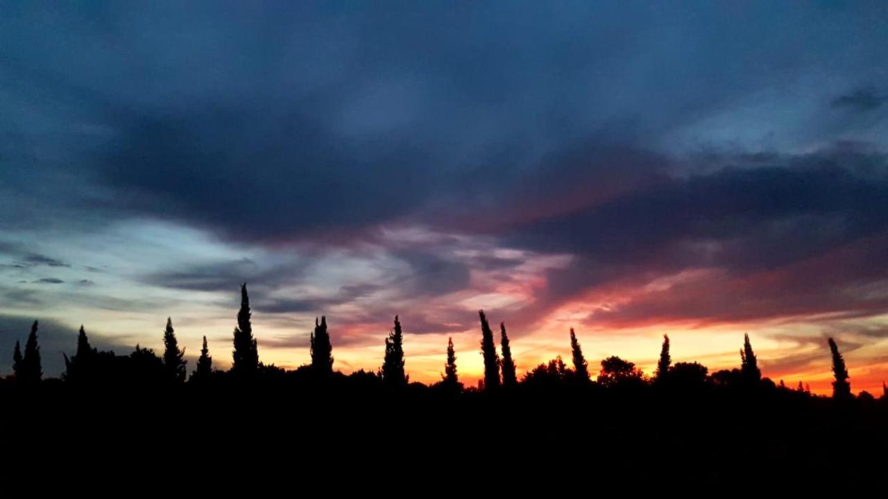 Le Mas De Guiguite Mézoargues Dış mekan fotoğraf