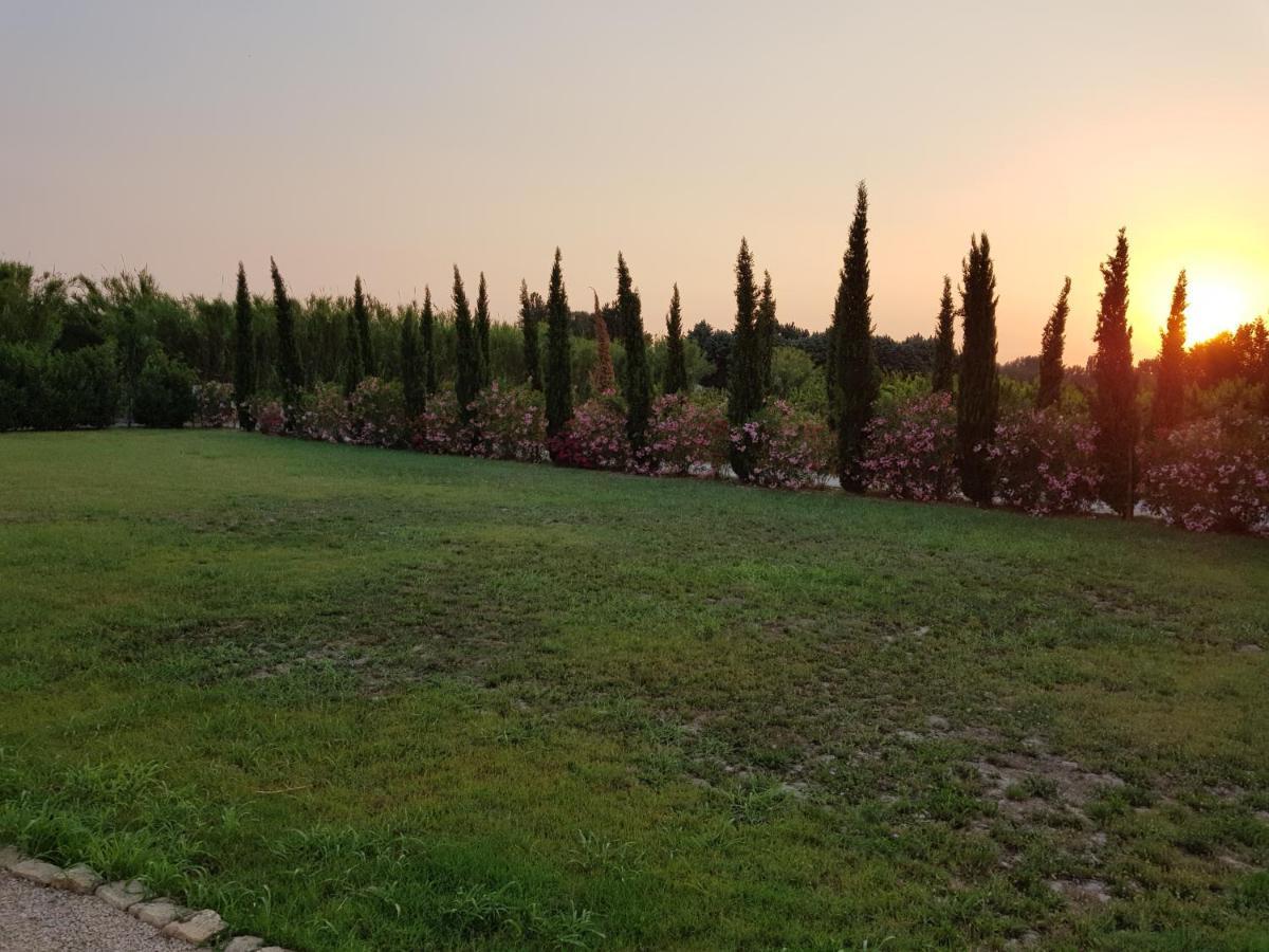 Le Mas De Guiguite Mézoargues Dış mekan fotoğraf